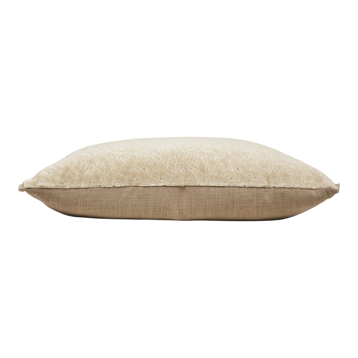 Cartouche Velvet Pillow