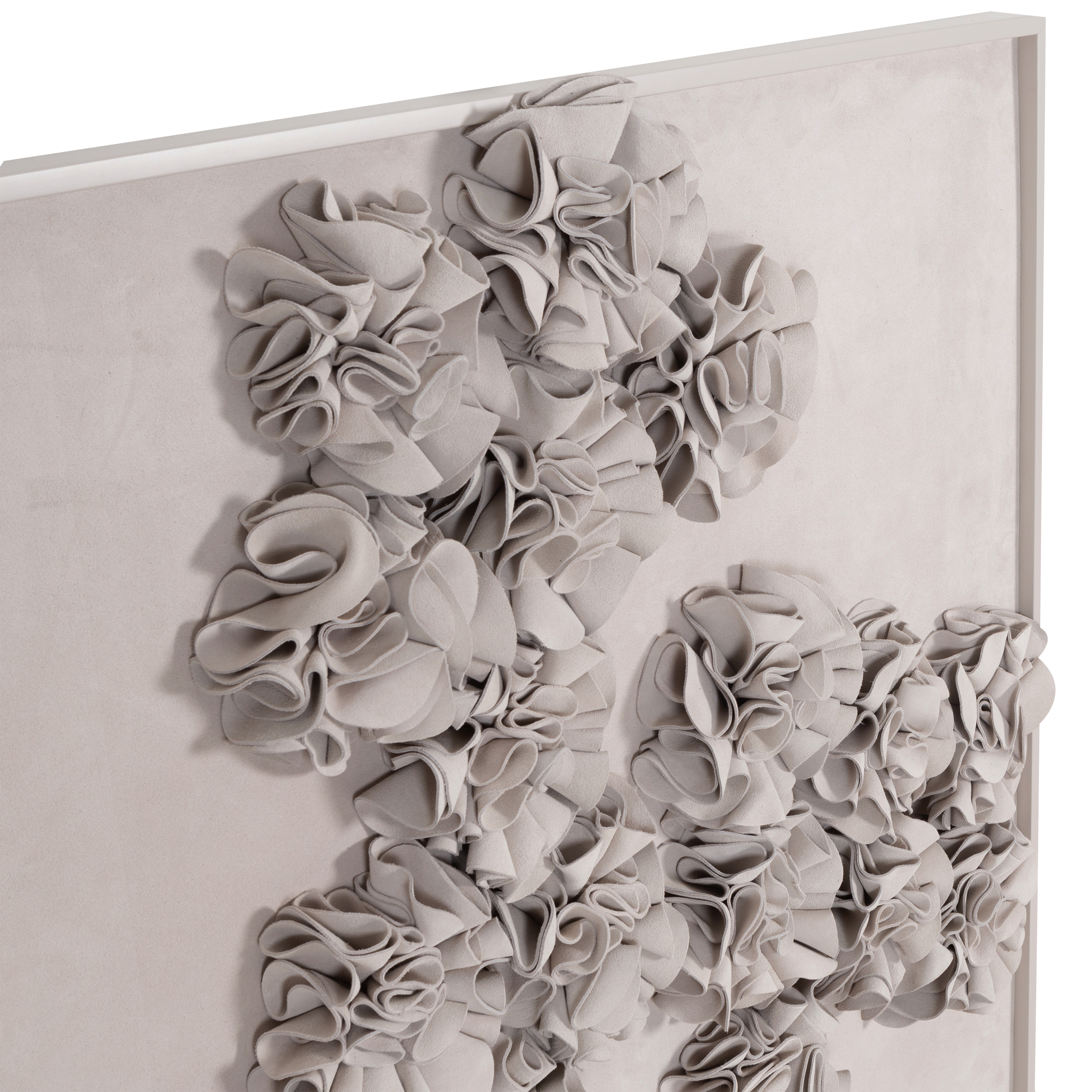 Desert Rose