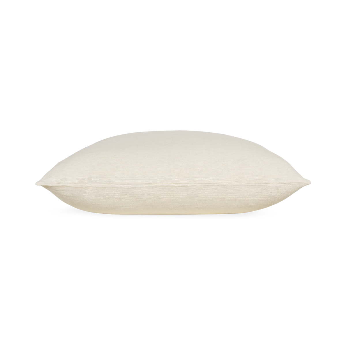 Wild Silk Pillow