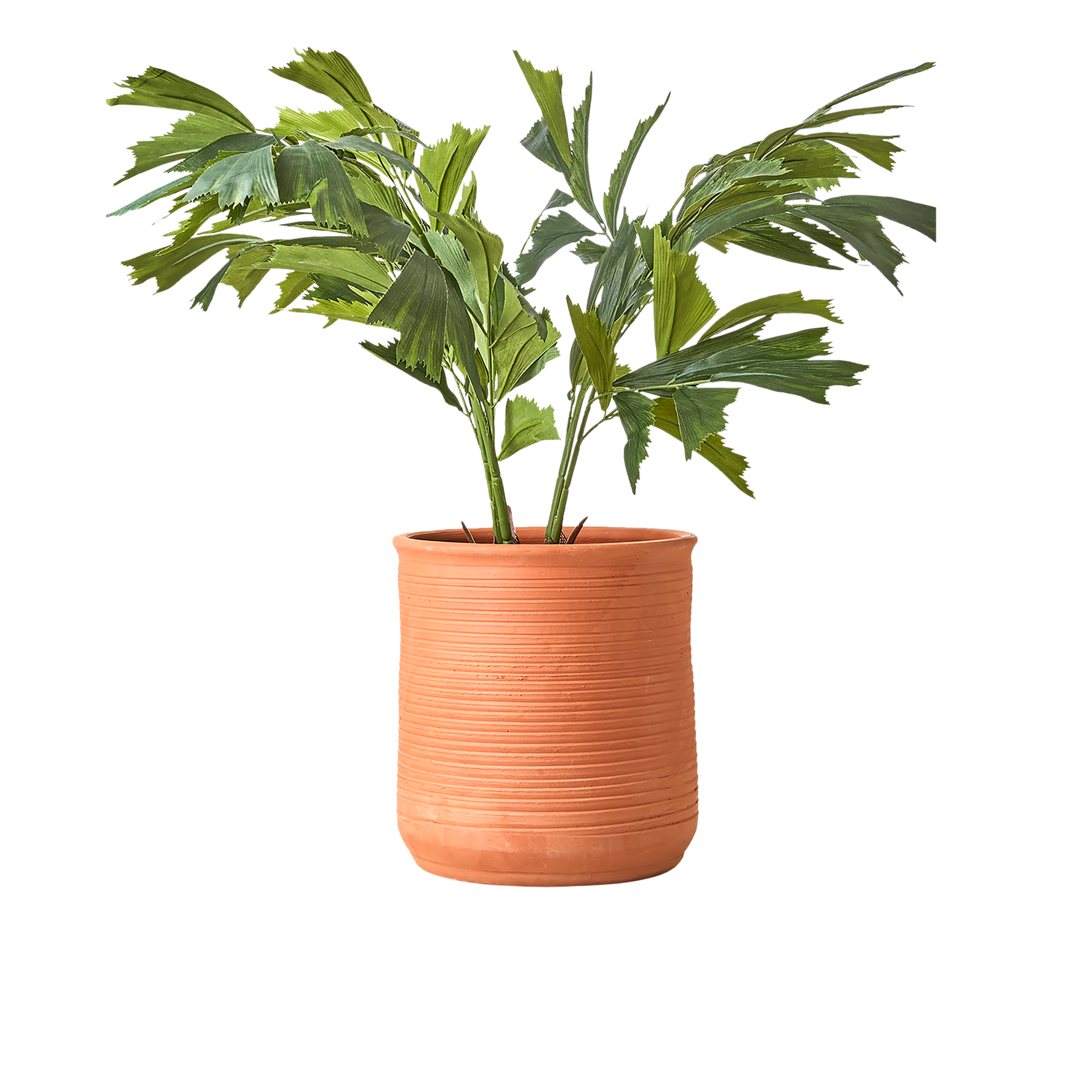 Ridge Terracotta Pot