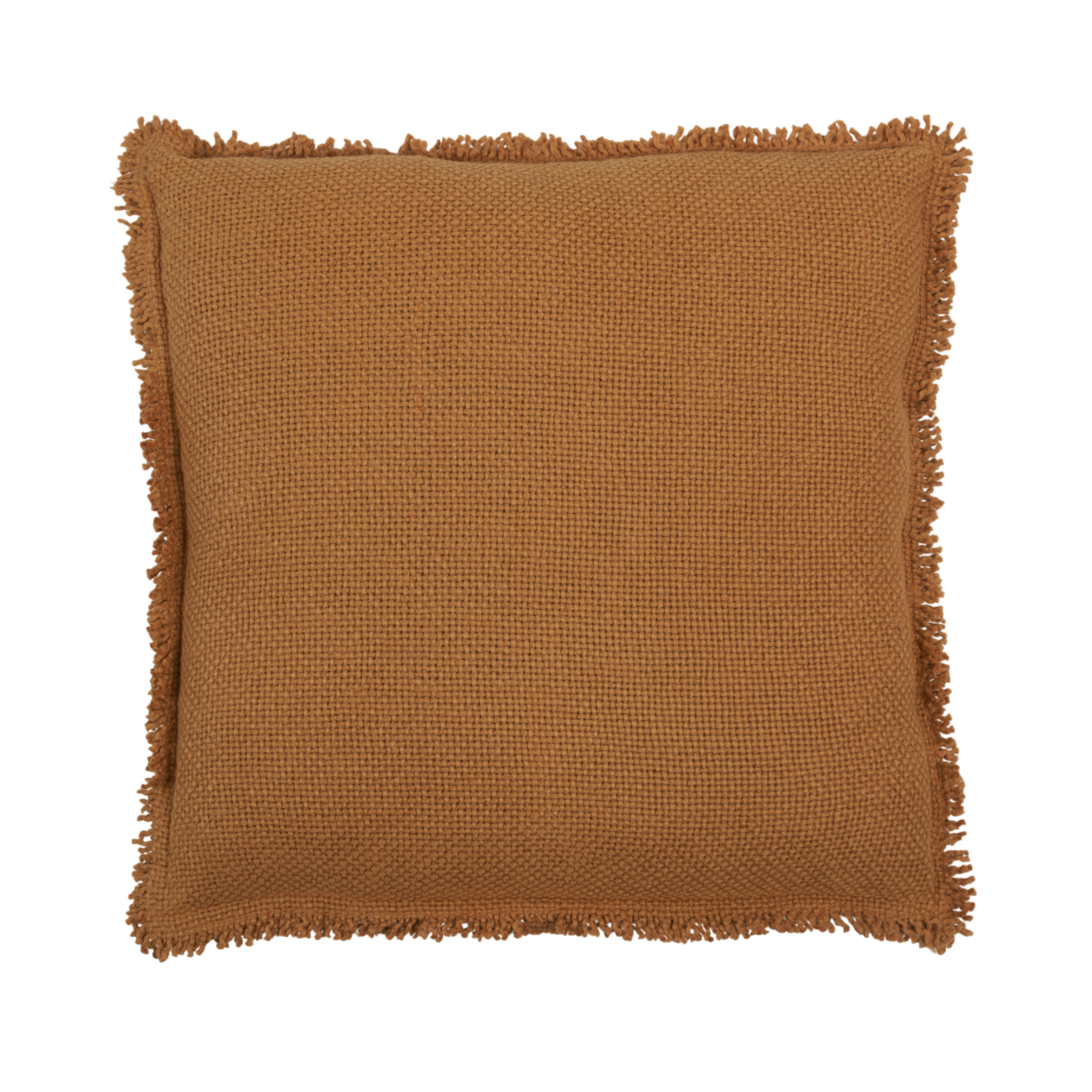 Fringe Pillow