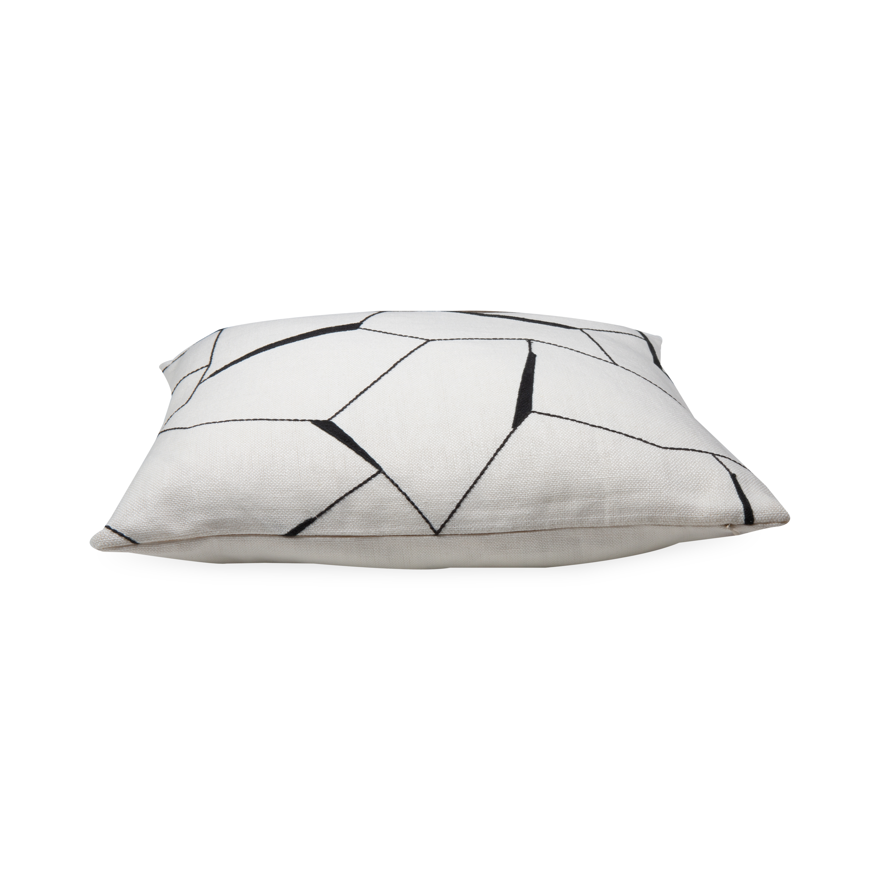 Diverge Pillow