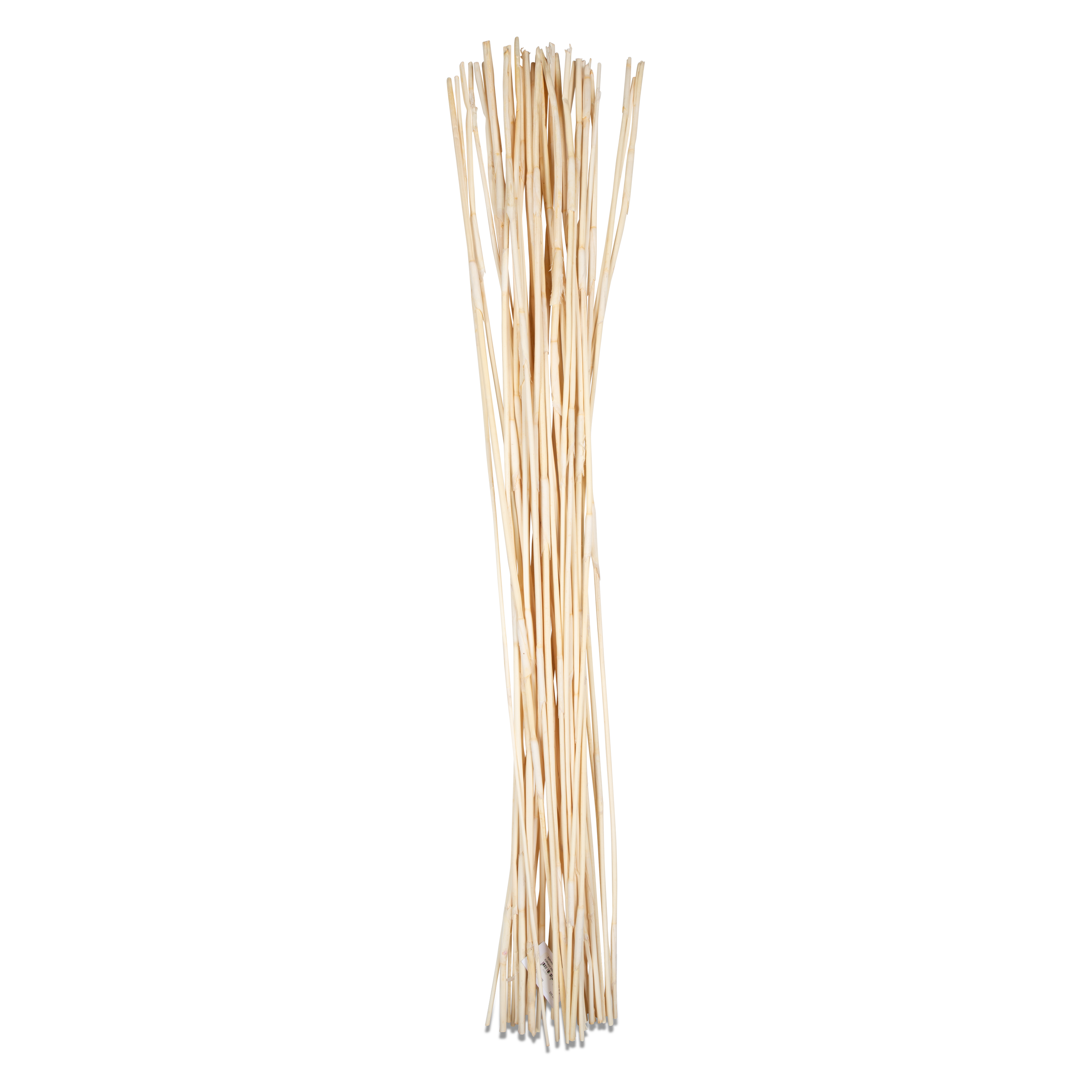 Bleached Elephant Reed Bundle